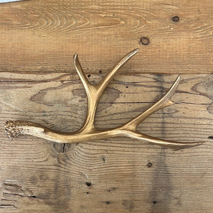 Antler